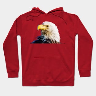 Eagle Head Hoodie